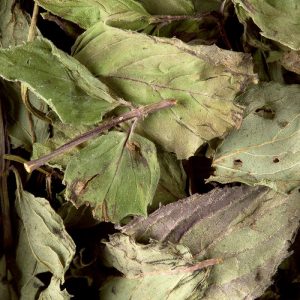 Verveine menthe poivrée